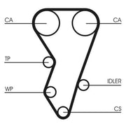 Continental CTAM Timing Belt Cambelt 134 Teeth fits Citroën Xantia 1993-1998 2.0