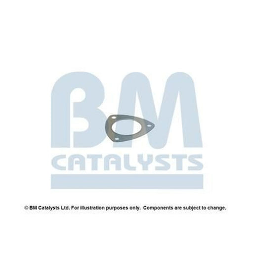BM Catalysts Fitting Kit FK80001A FK80001A