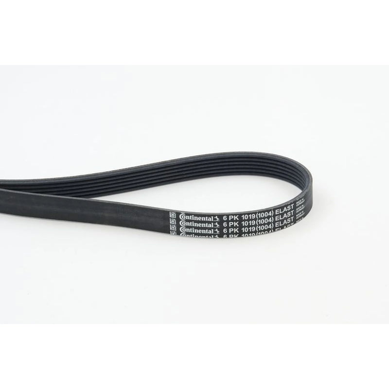 Continental CTAM Multi V-Ribbed Drive Belt fits Ford B-Max 2012-2017 1.4 1.6