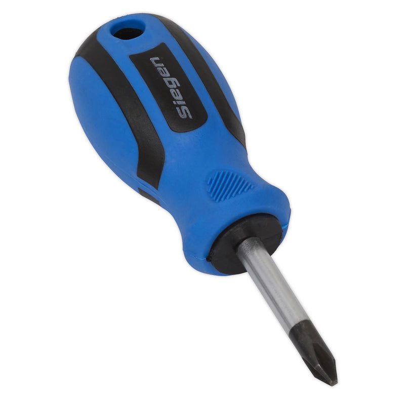 Sealey Screwdriver Phillips #2 x 38mm S01178 Siegen by Sealey - Dynamic Drive