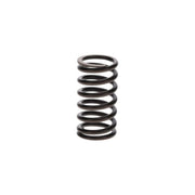 Bosch Compression Spring