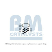 BM Catalysts Fitting Kit FK11217B FK11217B