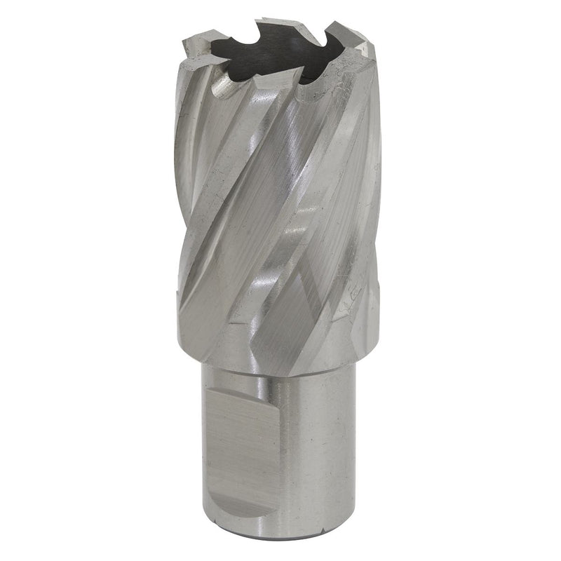Sealey Rotabor Cutter HSS25mm Cut Depth 25mm RBHSS25S Sealey - Dynamic Drive