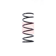 Apec 2 x Suspension Springs fits Ford Street Ka 2003-2005 1.6