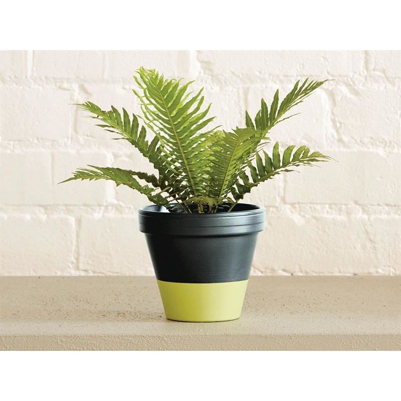 Ronseal Garden Paint Lime Zest 750ml Ronseal - Dynamic Drive