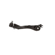 Delphi Control/Trailing Arm Lower fits Hyundai IX55 2008-2012 3.0 3.8