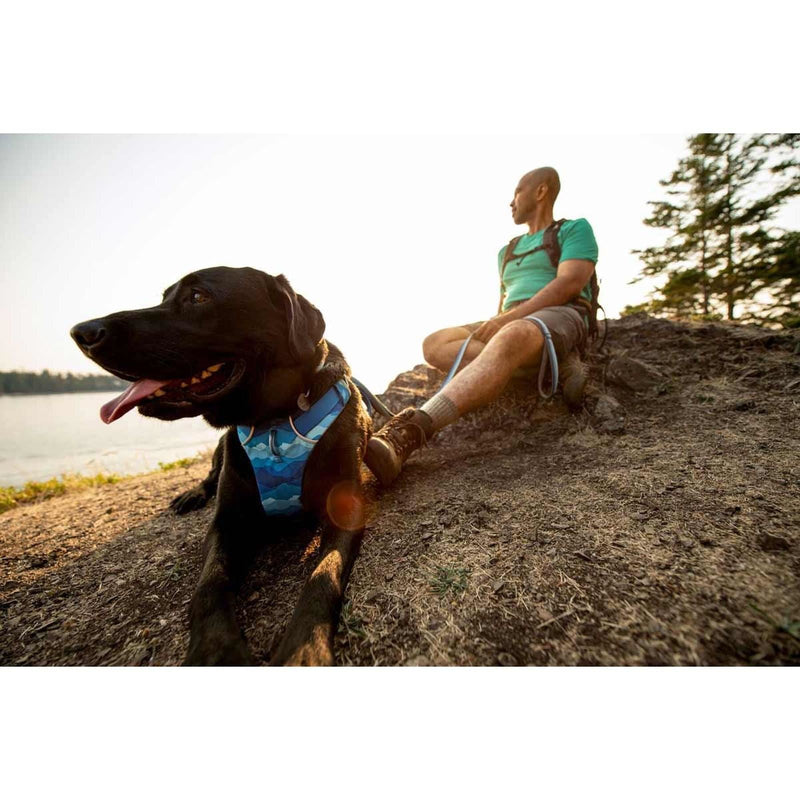 Ruffwear Front Range Dog Harness - Coastal Mountains Print (Small) Ruffwear - Dynamic Drive
