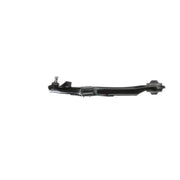 Delphi Control/Trailing Arm Lower fits Kia Soul I 2009-2014 1.6