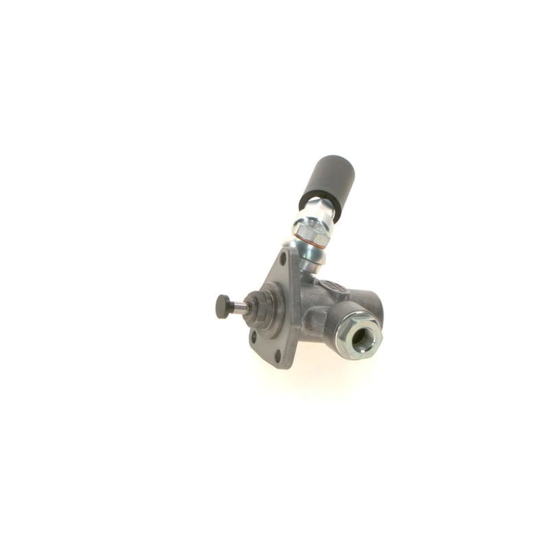 Bosch Fuel Pump Assembly
