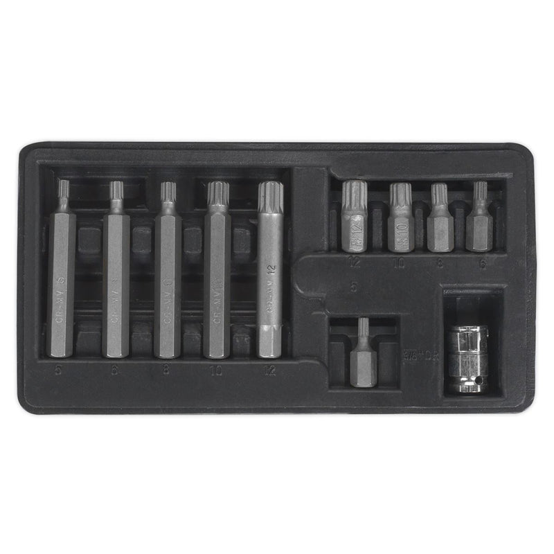 Seigen by Sealey Spline Bit & Holder Set 11pc - 3/8"Sq Drive S0534 Seigen by Sealey  - Dynamic Drive