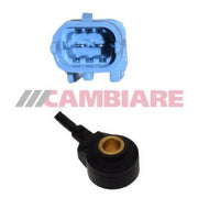 Cambiare Engine Knock Sensor VE369111