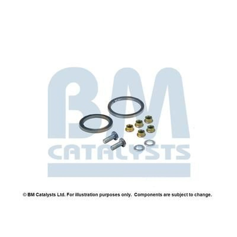 BM Catalysts Fitting Kit FK91494B FK91494B