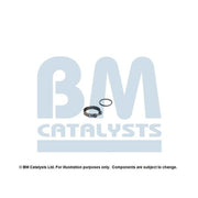 BM Catalysts Fitting Kit FK11666C FK11666C