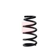 Apec Rear Suspension Coil Spring ACS2093