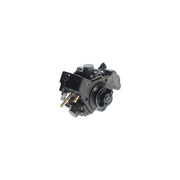 Bosch High Pressure Fuel Pump 0 445 010 310