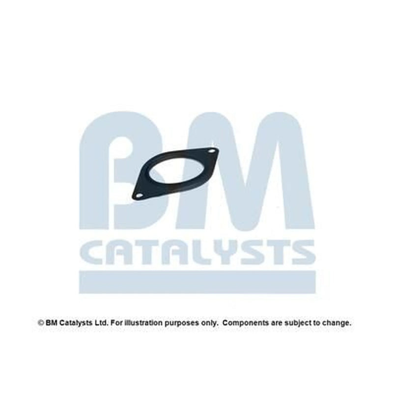 BM Catalysts Fitting Kit FK31282A FK31282A