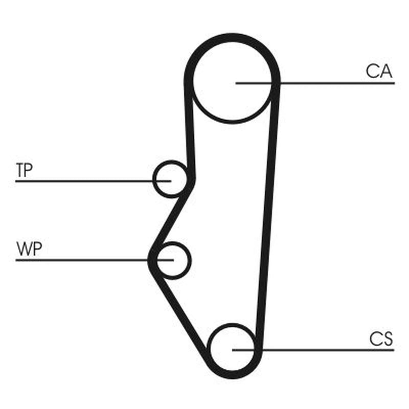 Continental CTAM Timing Belt Cambelt 113 Teeth fits Citroën Bx 1982-1994