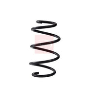 Apec Front Suspension Coil Spring ACS2100