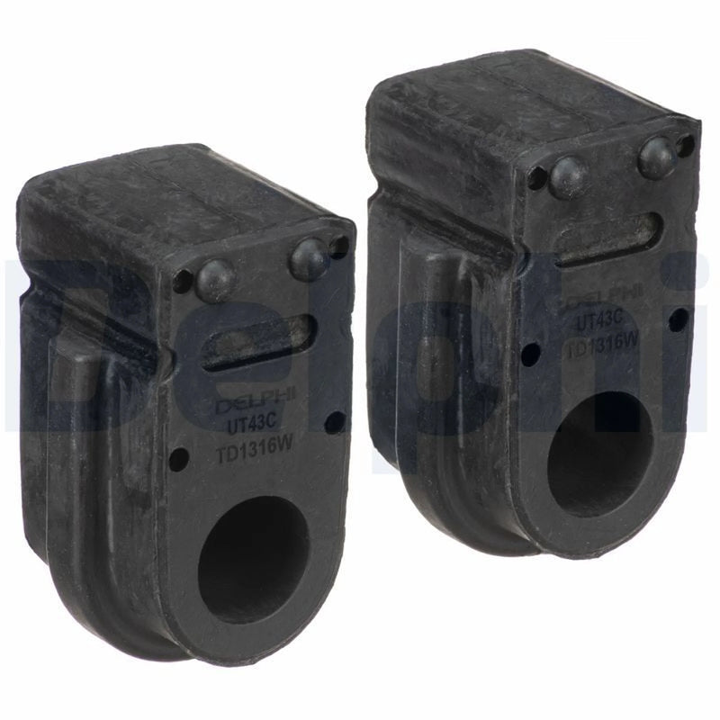 Delphi 2 x Anti Roll Bar Bush fits Renault Clio III 2006-2014 2.0
