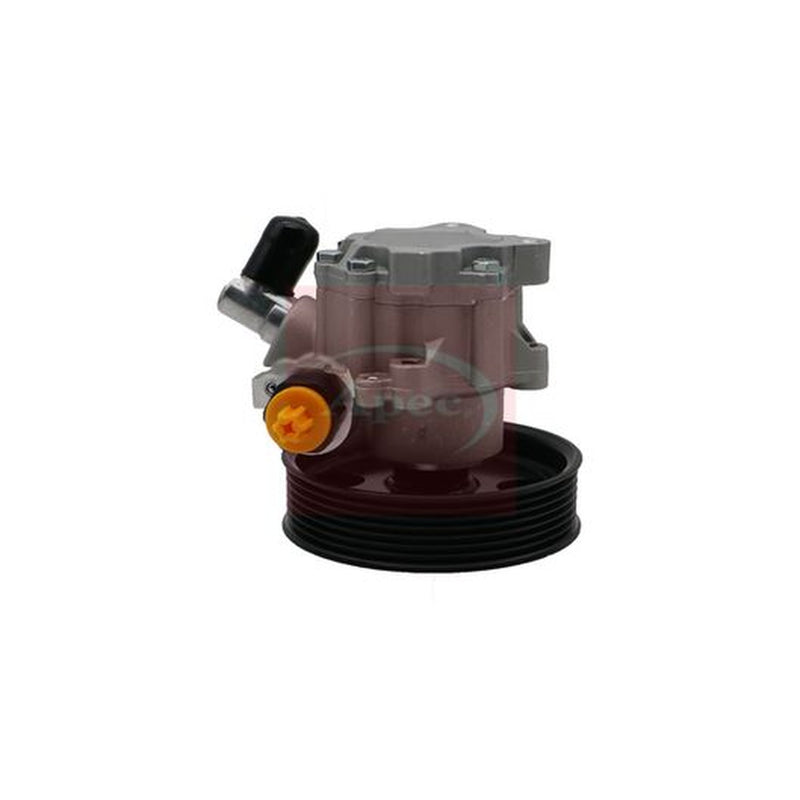 Apec Power Steering Hydraulic Pump fits Mercedes-Benz Cls 2005-2010 219.322