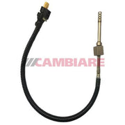 Cambiare Exhaust Gas Temperature Sensor VE390407