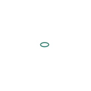 Bosch Rubber Seal Ring