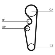 Continental CTAM Timing Belt Kit with Rollers fits Ford Escort 1990-1999 1.4 1.6
