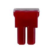 Connect Female PAL Fuses 50A 10pc 30478 Tool Connection - Dynamic Drive
