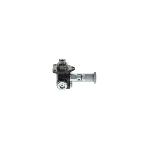 Bosch Fuel Pump Assembly