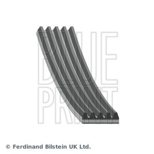 Blue Print Multi V-Ribbed Drive Belt fits Honda Jazz II 2002-2008 1.2 1.3 1.4