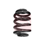 Apec Rear Suspension Coil Spring fits VW Caravelle 2015-2024 2.0