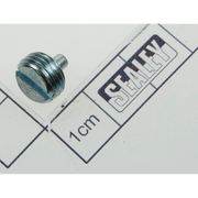 Sealey Screw
