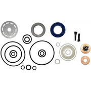 Sealey Repair Kit