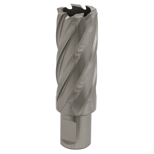 Sealey Rotabor Cutter HSS25mm Cut Depth 50mm RBHSS25L Sealey - Dynamic Drive