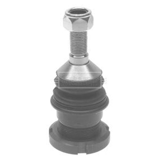 Borg & Beck Ball Joint Lower BBJ5595