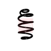 Apec Front & Rear Suspension Springs fits Nissan Leaf 2010-2017