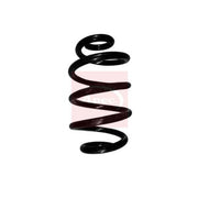 Apec Rear Suspension Coil Spring ACS2038