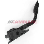 Cambiare Throttle Position Sensor VE378073