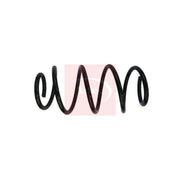 Apec Front Suspension Coil Spring ACS1891