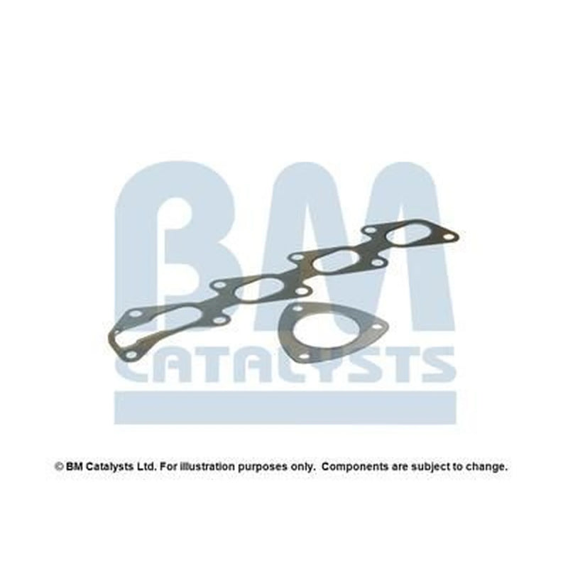 BM Catalysts Fitting Kit FK91379A FK91379A