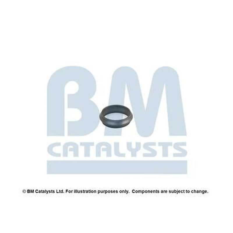 BM Catalysts Fitting Kit FK91284A FK91284A
