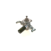 Bosch Fuel Pump Assembly
