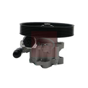 Apec Power Steering Hydraulic Pump fits Citroën Dispatch I 1995-2006 1.6 1.9 2.0