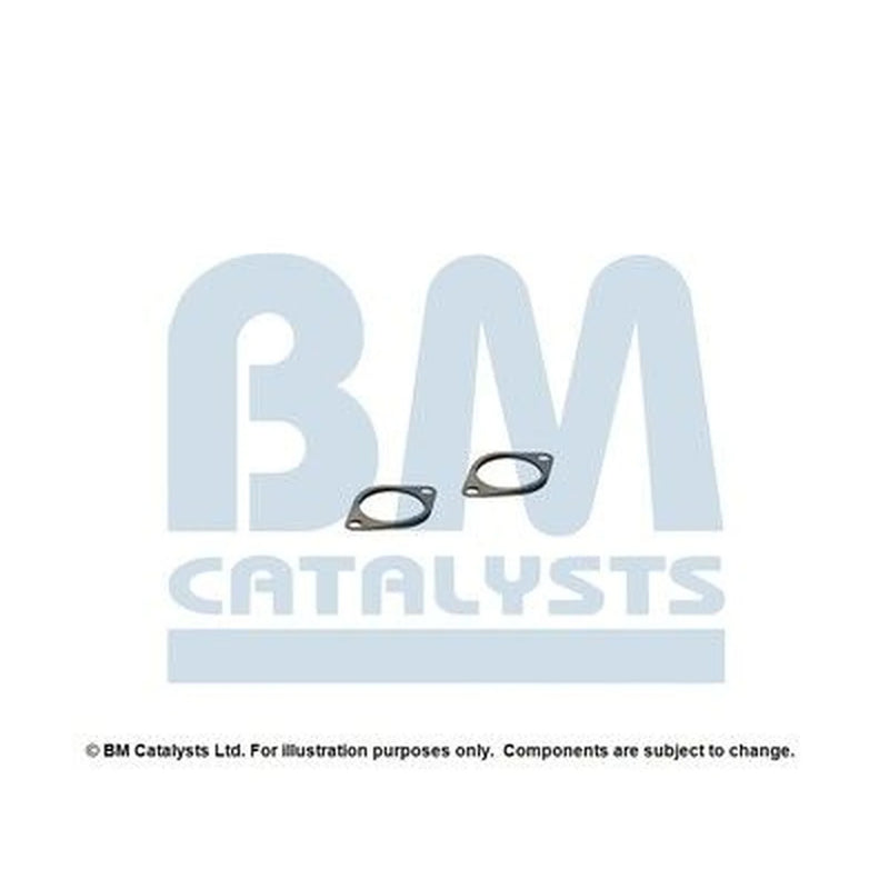 BM Catalysts Exhaust Pipe Mounting Kit