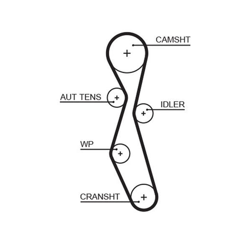 Gates Timing Belt Cambelt 116 Teeth fits Citroën C4 2004-2011 2.0