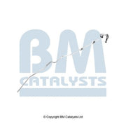 BM Catalysts Pressure Pipe PP11187B PP11187B