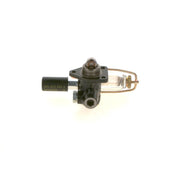 Bosch Fuel Pump Assembly