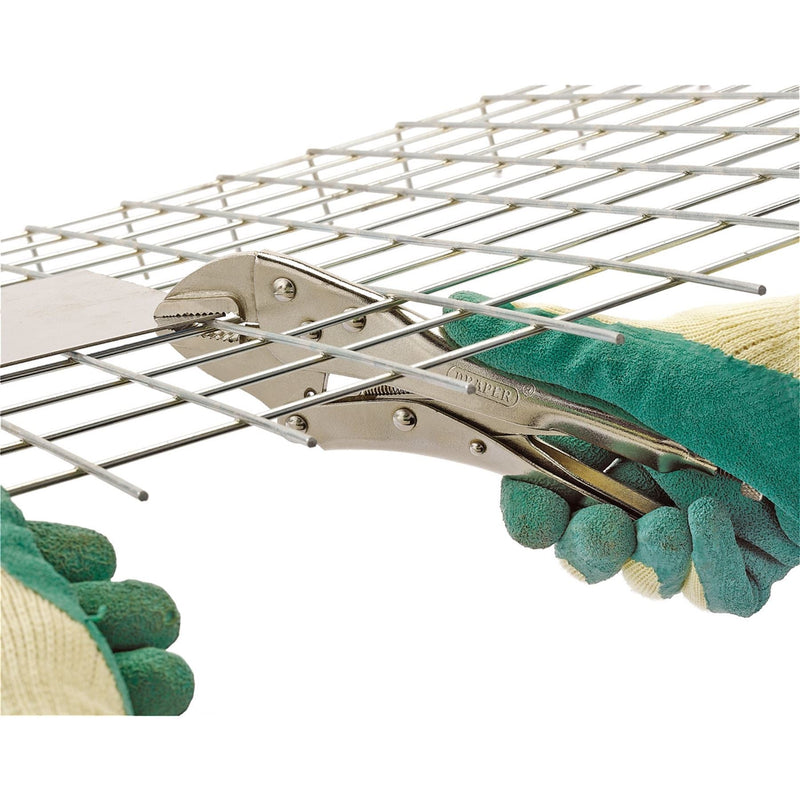 Draper Straight Jaw Self Grip Pliers, 225mm 67824 Draper - Dynamic Drive