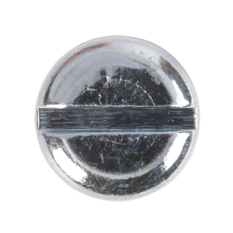 Sealey Machine Screw M5 x 25mm Pan Head Slot Zinc Pack of 50 MSS525 Sealey - Dynamic Drive
