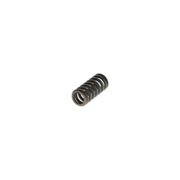 Bosch Compression Spring